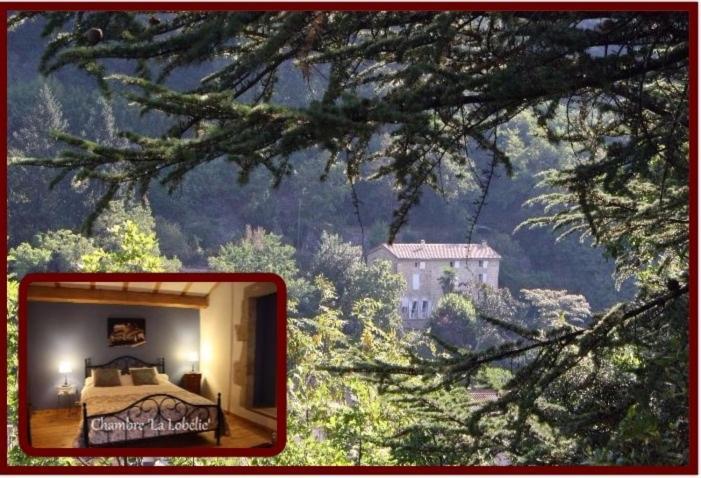 Les Escaliers Du Paradis Bed & Breakfast Largentiere